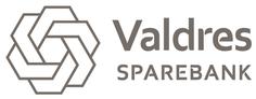 ValdresSpb_logo_gra